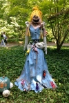Cinderella Scarecrow
