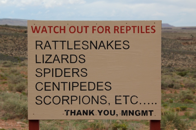 Sign seen in Navajo Nation.  First of all, I DIDN'T see any critters, secondly, Teen Daughter pointed out that some of the critters lists ARE NOT reptiles, and thirdly, who is the management behind this sign?  It was posted on the side of the road next to Navajos selling jewelry and a whole bunch of scrub brush.