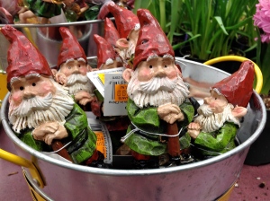 Mischievous-looking gnomes caught my eye at the garden center.