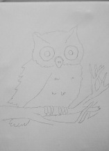 Copy outline of owl and some details onto canvas.